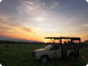 Crossroads Safaris Open Vehicle Safairs Gay Friendly