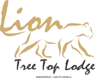 Lion Tree Top Lodge Luxury Accommodation Gay Friendly