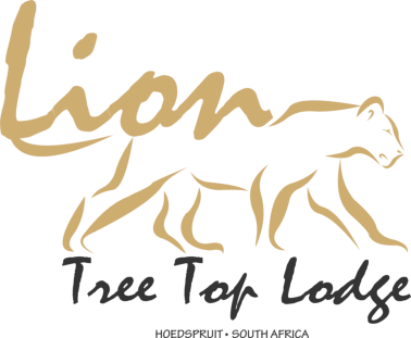 Lion Tree Top Lodge Luxury Accommodation Gay Friendly